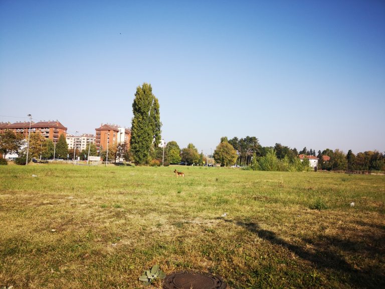 Rynek gruntów zwalnia